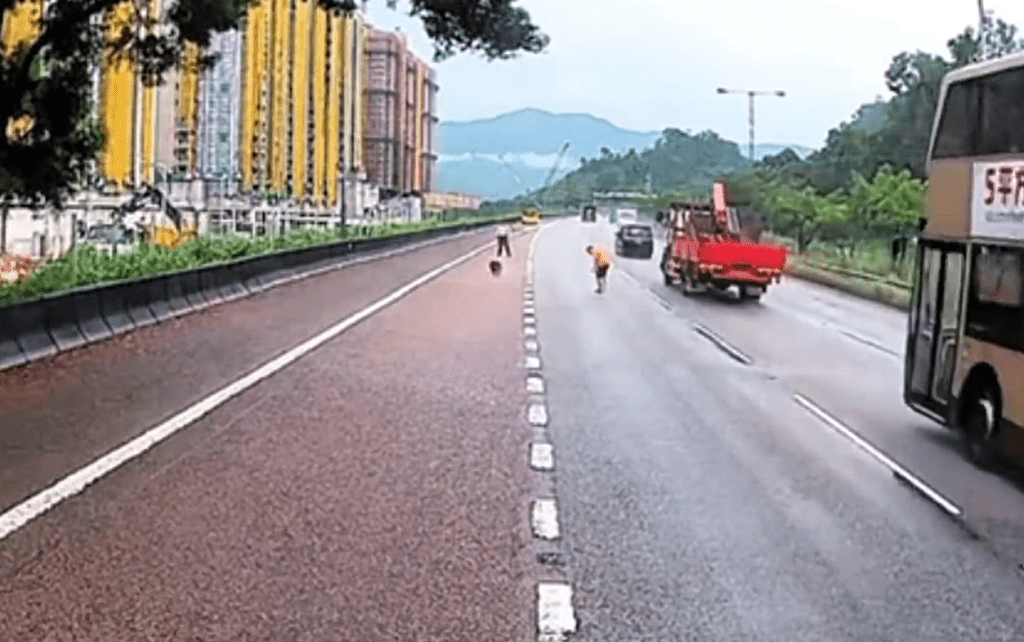 暴風雨中善心男士勇救流浪狗，情暖香港街頭