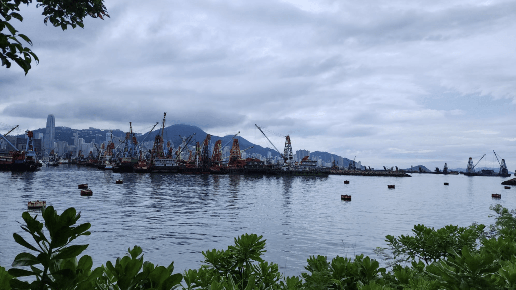 天文台｜東北季候風抵港 引發驟雨響雷 氣溫驟降七度