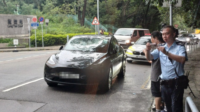 赤柱樹木倒塌擊中私家車 乘客玻璃碎片受傷