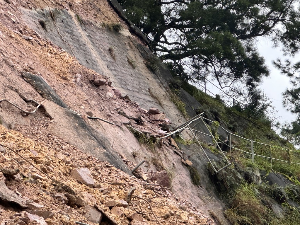 熱帶氣旋「摩羯」影響港城 交通受阻引發山泥傾瀉